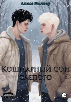 Обложка книги «Кошмарный сон слепого» — Алиса Меллер
