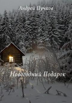 Обложка книги «Новогодний подарок» — Андрей Викторович Пучков