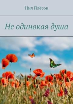 Обложка книги «Не одинокая душа» — Нил Плёсов