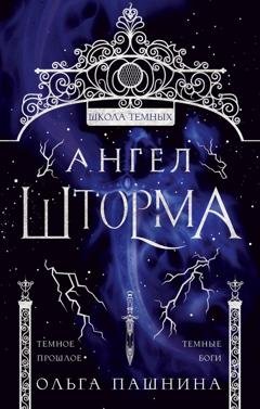 Обложка книги «Школа темных. Ангел шторма» — Ольга Пашнина