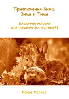 Обложка книги «Приключения Бима, Зима и Тима. Сказочная история для продвинутых малышей» — Ирина Малина