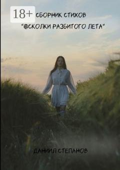Обложка книги «Осколки разбитого лета» — Даниил Анатольевич Степанов