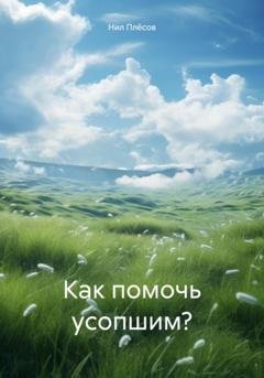 Обложка книги «Как помочь усопшим?» — Нил Плёсов