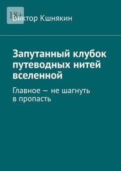 Обложка книги «Запутанный клубок путеводных нитей вселенной. Главное – не шагнуть в пропасть» — Виктор Кшнякин