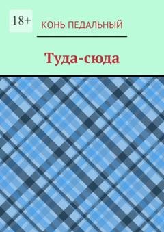Обложка книги «Туда-cюда» — Конь педальный