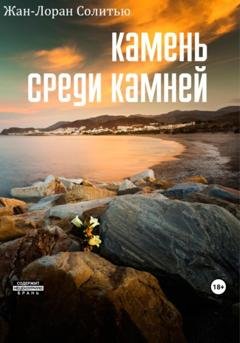 Обложка книги «Камень среди камней» — Жан-Лоран Солитью