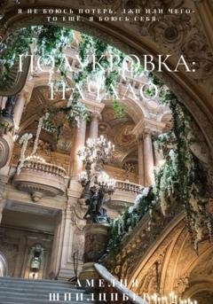 Обложка книги «Полукровка: Начало» — Амелия Шпилцпберг