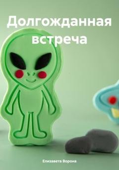 Обложка книги «Долгожданная встреча» — Елизавета Сергеевна Ворона
