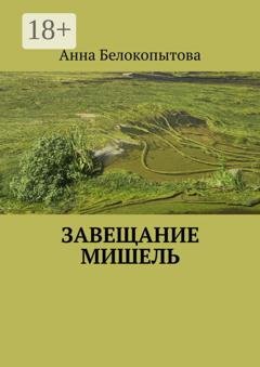 Обложка книги «Завещание Мишель» — Анна Белокопытова