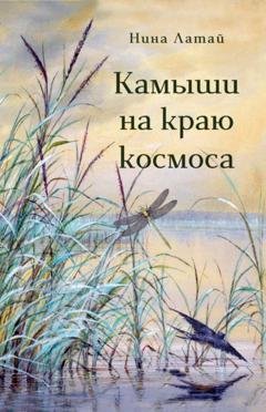 Обложка книги «Камыши на краю космоса» — Нина Латай