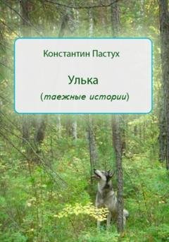 Обложка книги «Улька» — Константин Пастух
