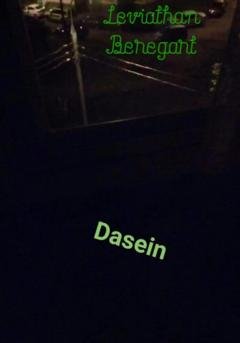 Обложка книги «Dasein» — Leviathan Beregart