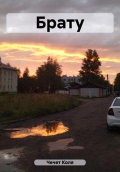 Обложка книги «Брату» — Коля Чечет
