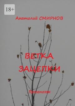 Обложка книги «Ветка зацепки. Прозопоэзы» — Анатолий Смирнов