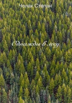Обложка книги «Однажды в лесу» — Степан Дмитриевич Чолак