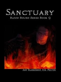 Обложка книги «Sanctuary» — Amy Blankenship