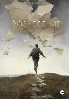 Обложка книги «Вознесение» — Игорь Алексеевич Шамин