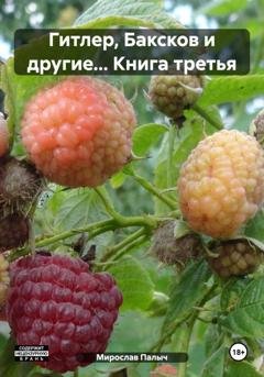 Обложка книги «Гитлер, Баксков и другие… Книга третья» — Мирослав Палыч