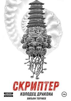 Обложка книги «Скриптер. Колодец Дракона» — Вильям Топчиев