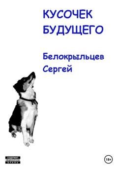 Обложка книги «Кусочек будущего» — Сергей Валерьевич Белокрыльцев