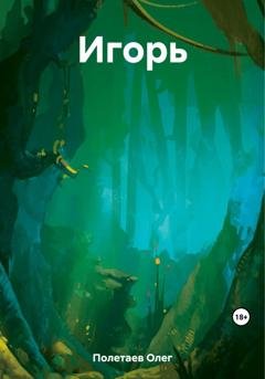 Обложка книги «Игорь» — Олег Юрьевич Полетаев