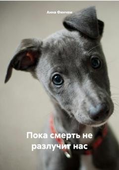 Обложка книги «Пока смерть не разлучит нас» — Анна Финчем