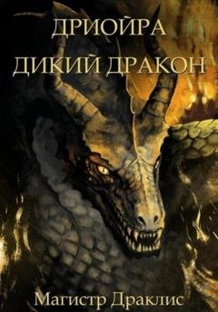 Обложка книги «Дриойра. Дикий дракон» — Магистр Драклис