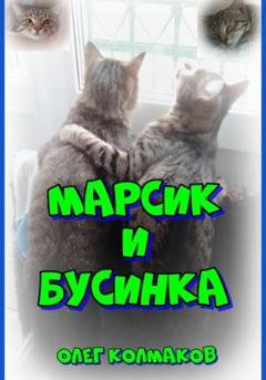 Обложка книги «Марсик и Бусинка» — Олег Колмаков