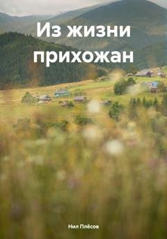 Обложка книги «Из жизни прихожан» — Нил Плёсов