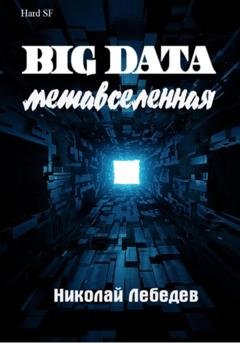 Обложка книги «Big Data. Метавселенная» — Николай Лебедев