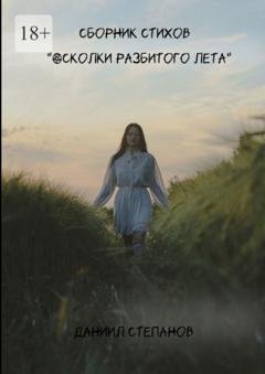 Обложка книги «Осколки разбитого лета» — Даниил Степанов