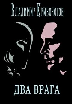 Обложка книги «Два врага» — Владимир Кривоногов