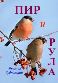 Обложка книги «Пир и Рула» — Ярослав Николаевич Зубковский