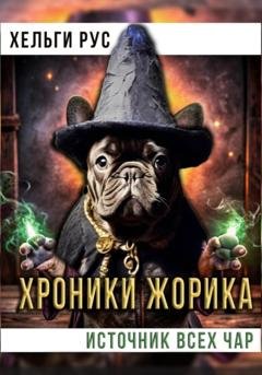 Обложка книги «Хроники Жорика. Источник Всех Чар» — Хельги Рус