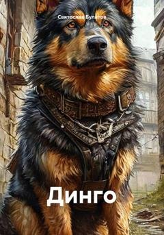Обложка книги «Динго» — Святослав Булатов