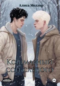 Обложка книги «Кошмарный сон слепого» — Алиса Меллер