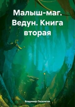 Обложка книги «Малыш-маг. Ведун. Книга вторая» — Владимир Геннадьевич Поселягин