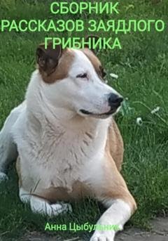 Обложка книги «Сборник рассказов заядлого грибника» — Анна Николаевна Цыбульник
