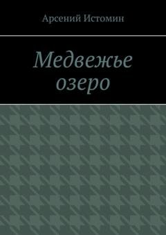 Обложка книги «Медвежье озеро. Никто не вернётся домой» — Арсений Александрович Истомин