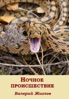 Обложка книги «Ночное происшествие» — Валерий Жиглов