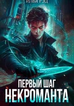 Обложка книги «Первый шаг Некроманта» — Илья Рэд