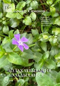 Обложка книги «До захлебывания, до задыхания. Серия книг поэтической философии миропонимания новой эпохи» — Владимир Симонов