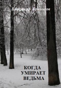 Обложка книги «Когда умирает ведьма» — Владимир Васильевич Гриньков
