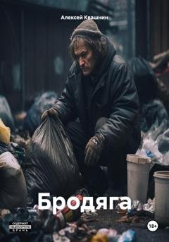 Обложка книги «Бродяга» — Алексей Викторович Квашнин