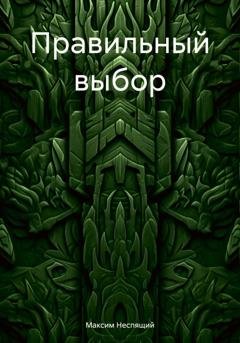 Обложка книги «Правильный выбор» — Максим Олегович Неспящий