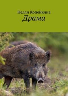Обложка книги «Драма» — Нелли Копейкина