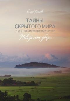 Обложка книги «Тайны скрытого мира и его невероятные обитатели. Невидимые двери» — Елена Носова