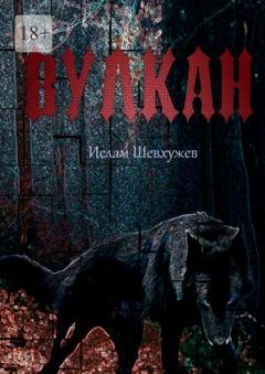 Обложка книги «Вулкан» — Ислам Шевхужев