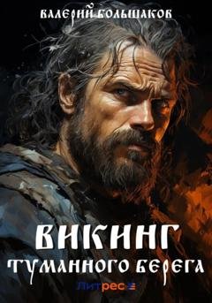 Обложка книги «Викинг туманного берега» — Валерий Петрович Большаков