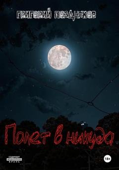 Обложка книги «Полет в никуда» — Григорий Олегович Поздняков
